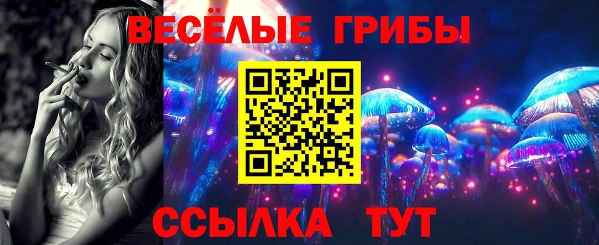 Галлюциногенные грибы Psilocybe  Вход с VPN  наркошоп  Острогожск 