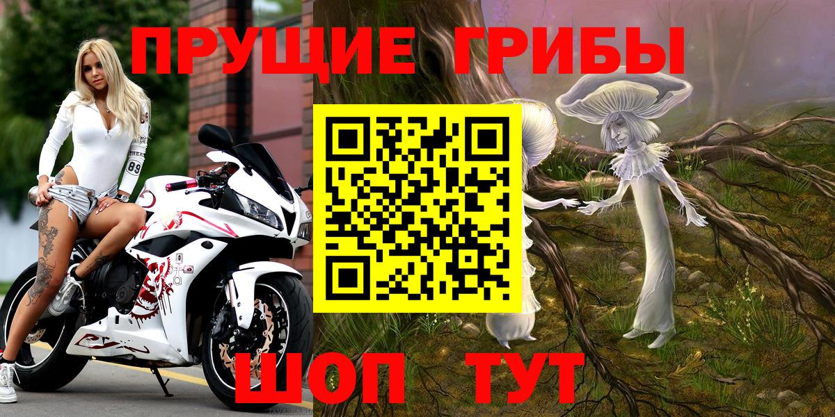 Псилоцибиновые грибы мухоморы Острогожск